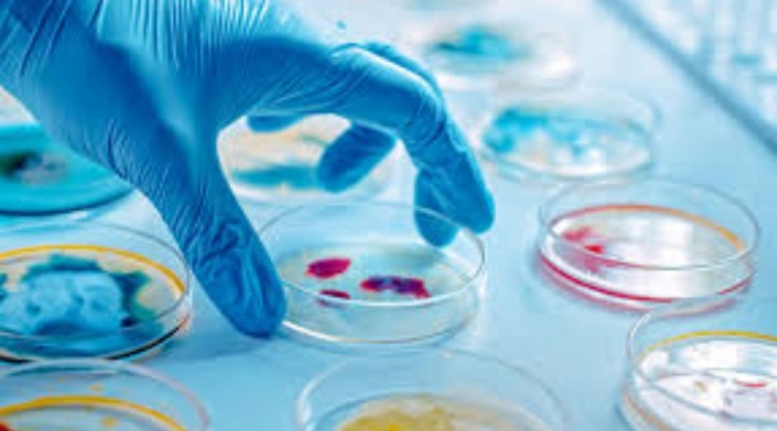 Biotecnología Biotecnología
