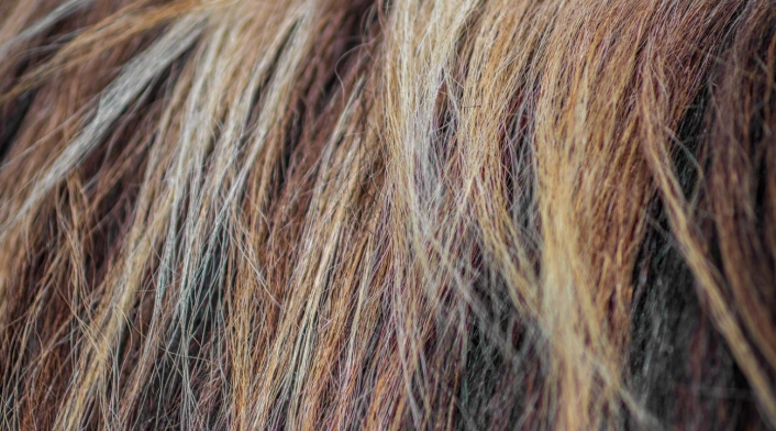 Cabello Cabello