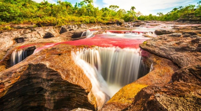 Caño Cristales Caño Cristales