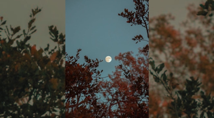 La luna de flores en Colombia La luna de flores en Colombia