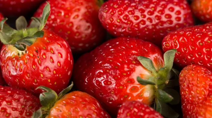 fresas fresas