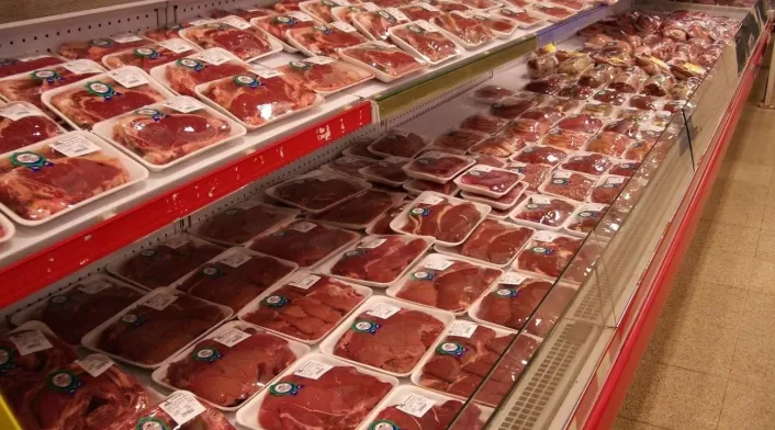 Carne Carne