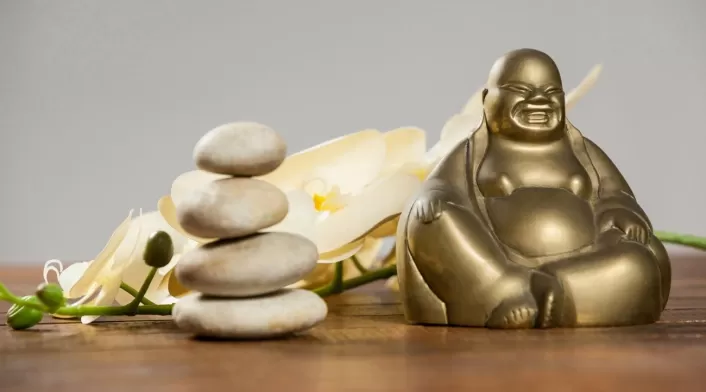 feng shui feng shui