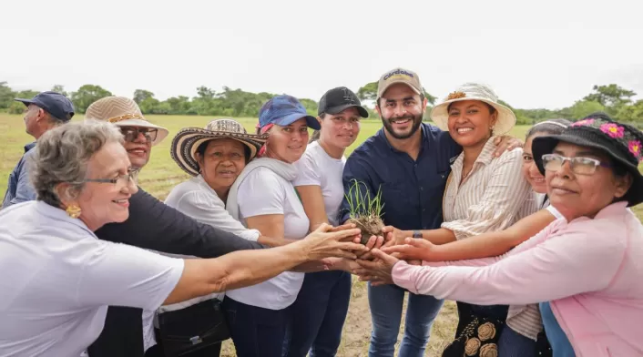 El predio está ubicado en Pueblo Nuevo