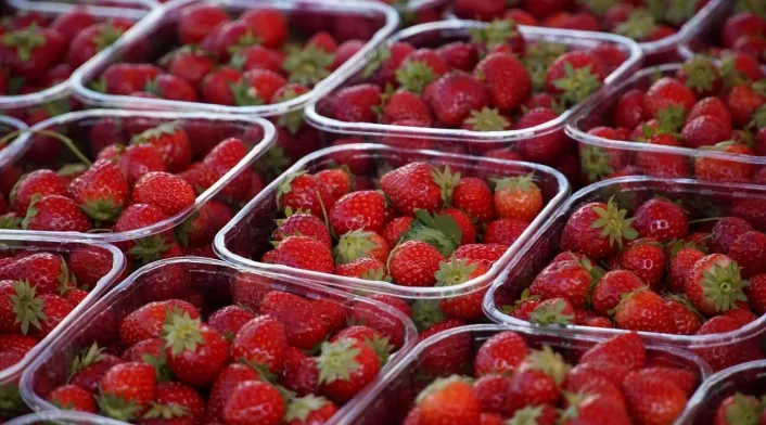 Fresas Fresas