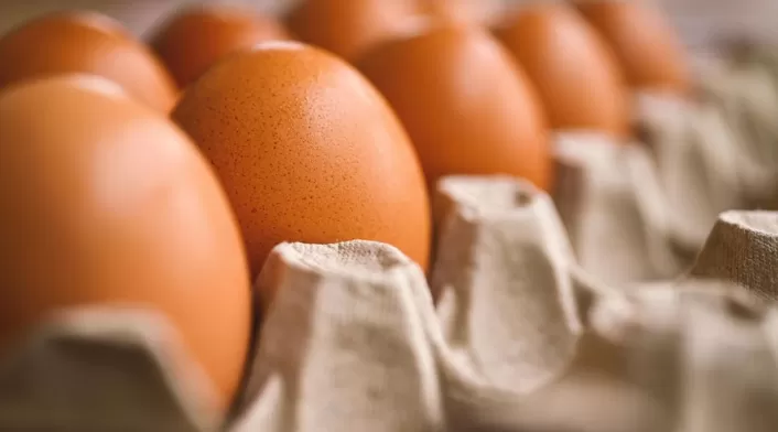 Canasta de huevos Canasta de huevos