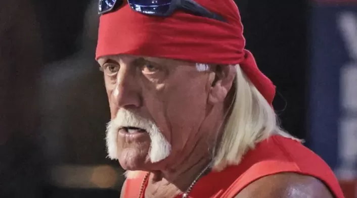 Hulk Hogan, luchador