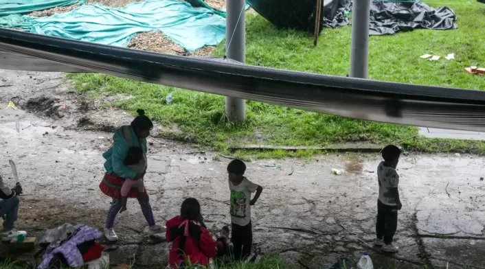 Indígenas Embera