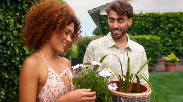 La planta que debe regalarle a su pareja, según el feng shui para mejorar la relación La planta que debe regalarle a su pareja, según el feng shui para mejorar la relación