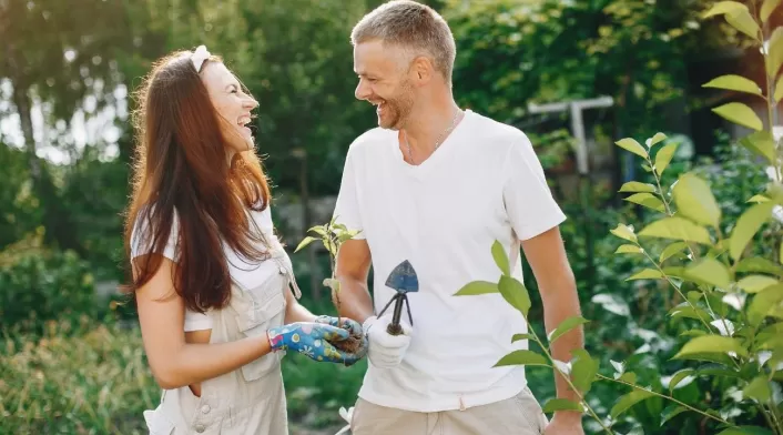 La planta que debe regalarle a su pareja, según el feng shui para mejorar la relación La planta que debe regalarle a su pareja, según el feng shui para mejorar la relación