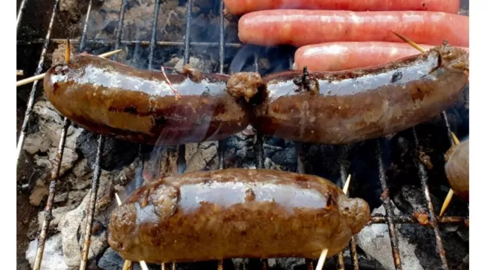 Las dos proteínas con más hierro que solo se debe comer 1 o 2 veces al mes Las dos proteínas con más hierro que solo se debe comer 1 o 2 veces al mes