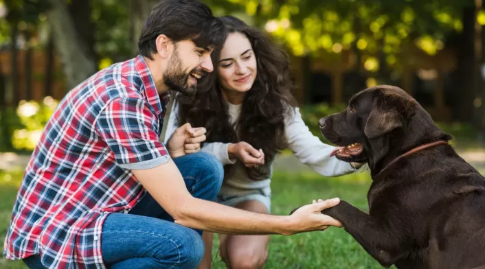 Dueños de perros en alerta por cambios en la ley Dueños de perros en alerta por cambios en la ley