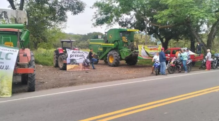 arroceros arroceros