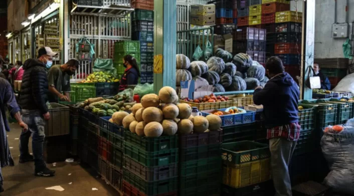 Alerta por pérdidas millonarias en cultivo de papa en Colombia. Agricultores enfrentan crisis por bajos precios y solicitan apoyo gubernamental. Alerta por pérdidas millonarias en cultivo de papa en Colombia. Agricultores enfrentan crisis por bajos precios y solicitan apoyo gubernamental.