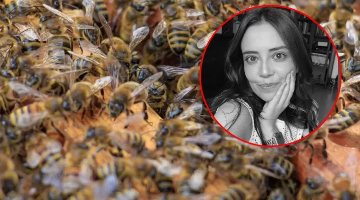 geóloga muere tras brutal ataque de abejas en zona rural de ortega