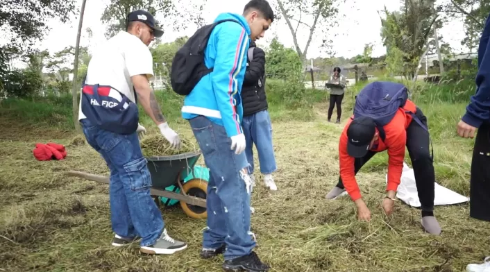 Los infractores cambian multas por limpieza y siembra de árboles