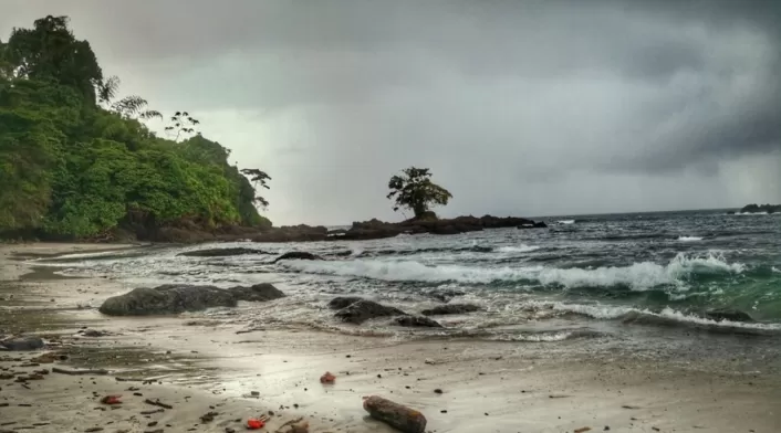 Bahía Solano, Chocó, se destaca por su riqueza natural Bahía Solano, Chocó, se destaca por su riqueza natural