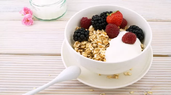 Yogurt Yogurt