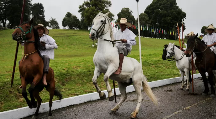 Batalla de Boyacá Batalla de Boyacá