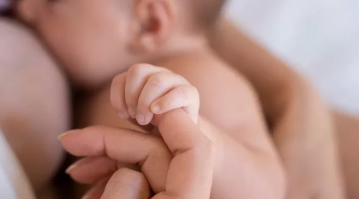 Conexión madre e hijo Conexión madre e hijo