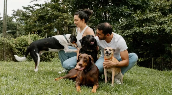 Dueños de perros y multas en conjuntos residenciales Dueños de perros y multas en conjuntos residenciales