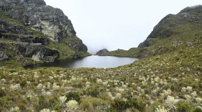 Páramo de Santurbán Páramo de Santurbán