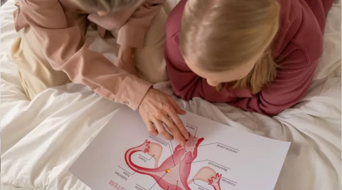 Infecciones vaginales y enfermedades de trasmisión sexual Infecciones vaginales y enfermedades de trasmisión sexual