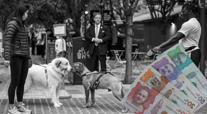 Sanciones a dueños de perros que incumplen normativas Sanciones a dueños de perros que incumplen normativas