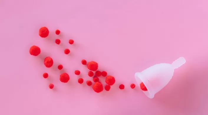 Uso de copa, tampón o toalla para una buena higiene vaginal Uso de copa, tampón o toalla para una buena higiene vaginal