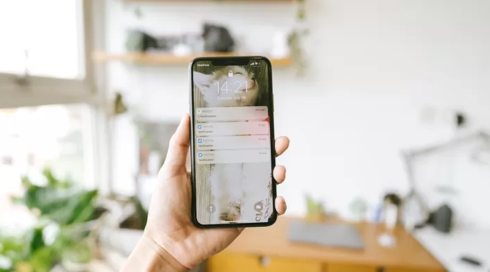 Los formatos de texto de WhatsApp, como la negrita y la cursiva, ayudan a destacar información clave. Los formatos de texto de WhatsApp, como la negrita y la cursiva, ayudan a destacar información clave.