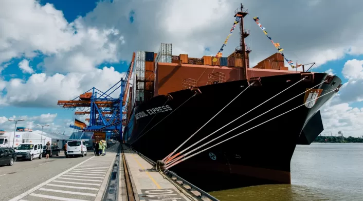 Exportaciones Exportaciones