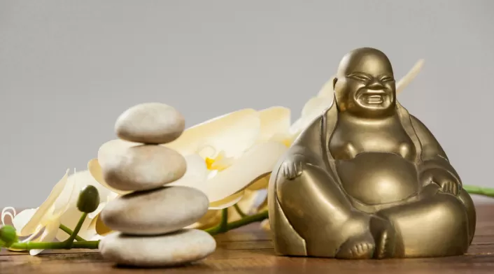 Los patos mandarines en el feng shui representan fidelidad y amor duradero. Los patos mandarines en el feng shui representan fidelidad y amor duradero.
