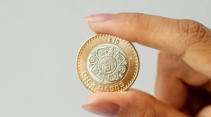 Actualmente se sabe que estas monedas son poco frecuentes, ya que gran parte se deterioró con el uso o fue retirada y fundida Actualmente se sabe que estas monedas son poco frecuentes, ya que gran parte se deterioró con el uso o fue retirada y fundida