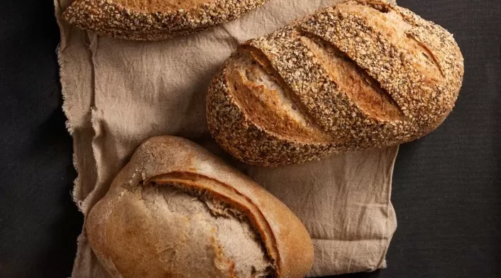 Pan de masa madre vs. pan normal: estas son sus principales diferencias Pan de masa madre vs. pan normal: estas son sus principales diferencias