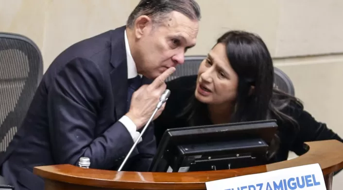 Demanda de nulidad contra decreto de exportación de carbón a Israel: senadora Paola Holguín pide suspensión provisional. Demanda de nulidad contra decreto de exportación de carbón a Israel: senadora Paola Holguín pide suspensión provisional.