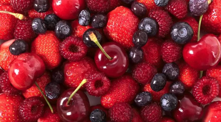 Por qué se debe lavar las bayas en vinagre antes de guardarlas en el refrigerador Por qué se debe lavar las bayas en vinagre antes de guardarlas en el refrigerador