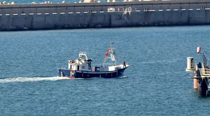 Barco de ayuda humanitaria a Gaza interceptado por fuerzas navales israelíes en el Mediterráneo. Operación contra flotilla Sumud genera condenas internacionales. Barco de ayuda humanitaria a Gaza interceptado por fuerzas navales israelíes en el Mediterráneo. Operación contra flotilla Sumud genera condenas internacionales.