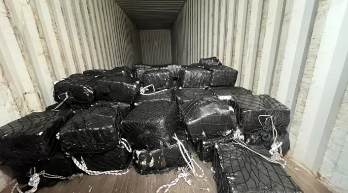 El alcaloide estaría valorado en más de 190 millones de dólares