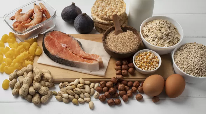 Alimentos proteínicos Alimentos proteínicos
