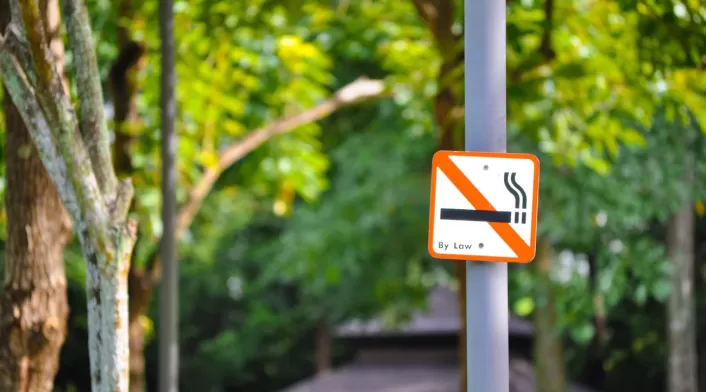 Zona libre de humo Zona libre de humo