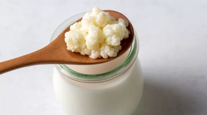 ¿Cómo preparar Kéfir La forma correcta de usar los búlgaros para que no se dañen ¿Cómo preparar Kéfir La forma correcta de usar los búlgaros para que no se dañen