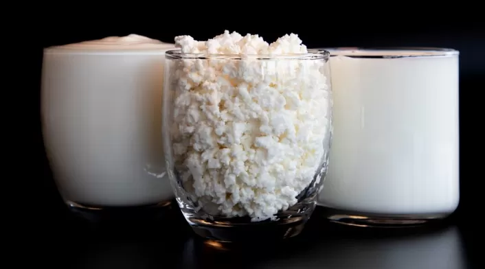 ¿Cómo preparar Kéfir? La forma correcta de usar los búlgaros para que no se dañen ¿Cómo preparar Kéfir? La forma correcta de usar los búlgaros para que no se dañen