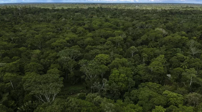 Amazonía