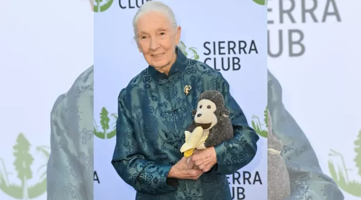 Jane Goodall falleció a los 91 años Jane Goodall falleció a los 91 años