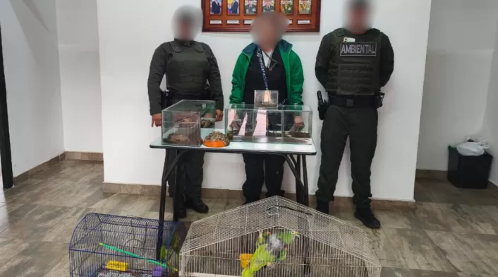 Animales recuperados, trafico de fauna, semana de receso