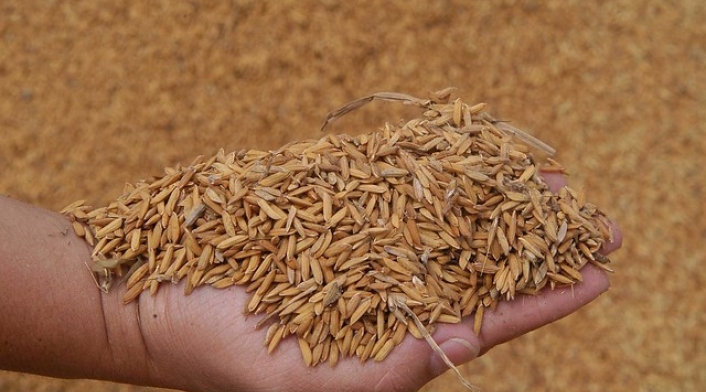 Arroz-COLPRENSA-EDISSON-FIGUEROA.jpg