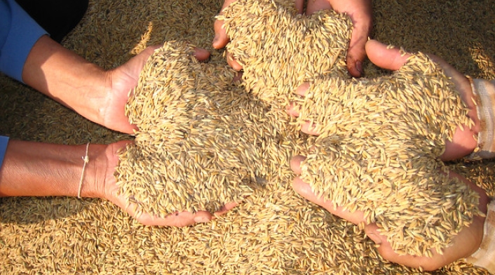 Arroz-LA-FM-Colprensa.jpg