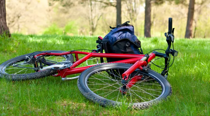 Bicicleta-LAFM-Ingimage.jpg