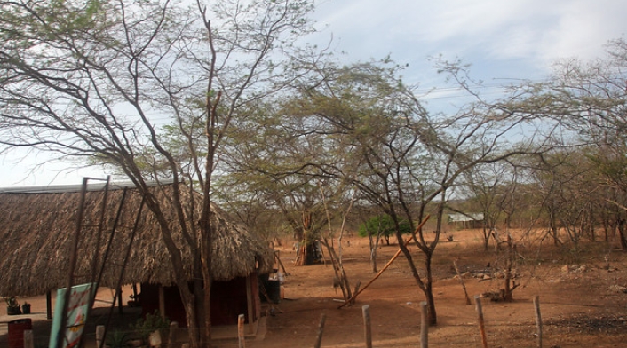 COLP_081652-1.jpg