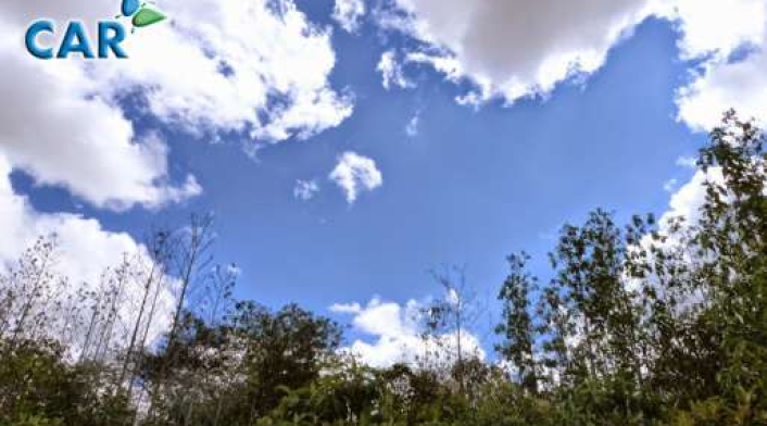 COLP_118797.jpg